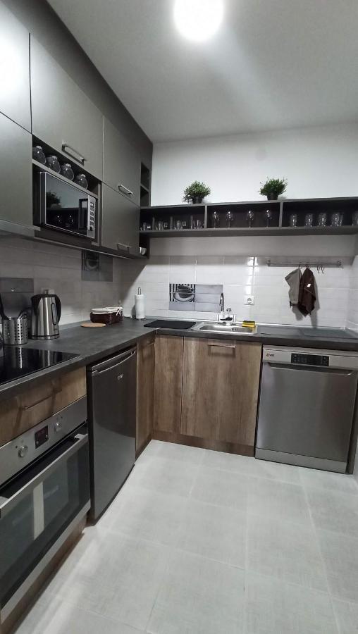 Luxury Apartments Parking In Garage Ниш Экстерьер фото