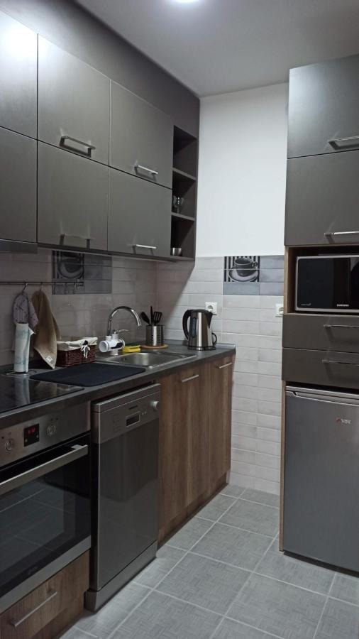 Luxury Apartments Parking In Garage Ниш Экстерьер фото